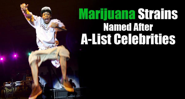 10 Self- Introducing Celebrity Weed Strains, Named After A-List Celebrities