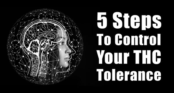 5 Steps To Control Your THC Tolerance
