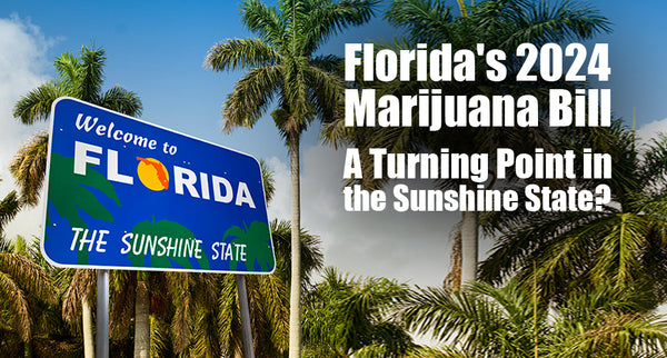Florida's 2024 Marijuana Bill: A Turning Point in the Sunshine State?