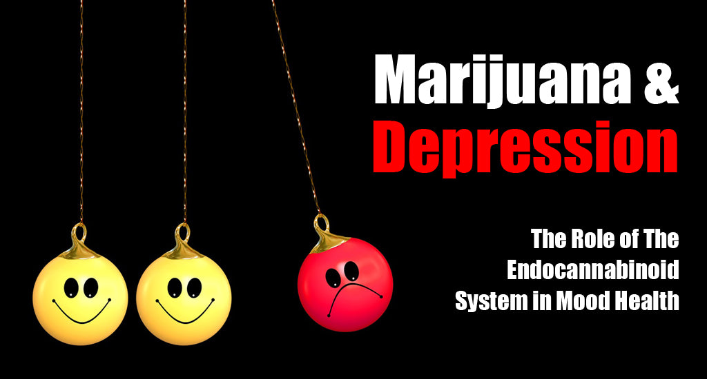 Marijuana & Depression The Role of The Endocannabinoid System in Mood Health