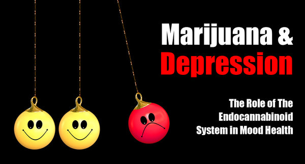 Marijuana & Depression: The Role of The Endocannabinoid System in Mood Health