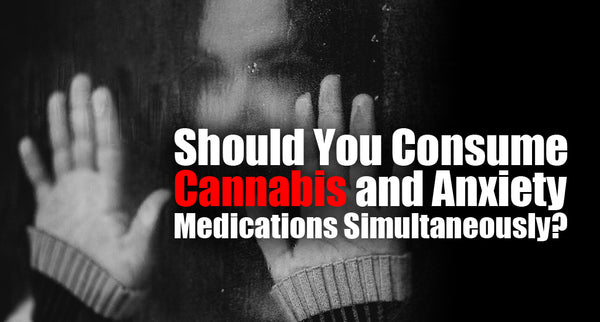Should You Consume Cannabis and Anxiety Medications Simultaneously?