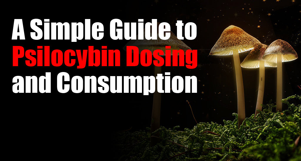 a-simple-guide-to-psilocybin-dosing-and-consumption