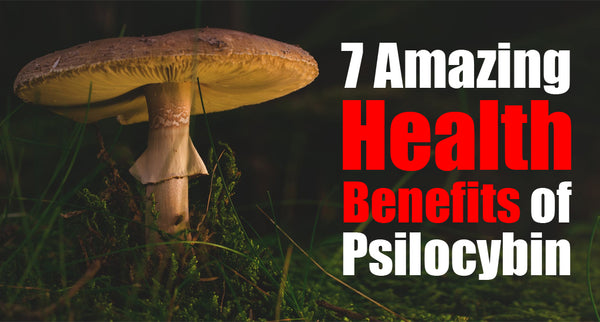 Top 7 Amazing Health Benefits of Psilocybin Mushrooms
