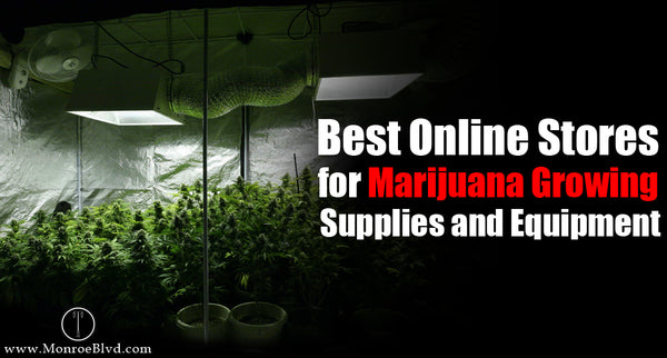 The Top Online Stores for Cannabis Cultivation Supplies