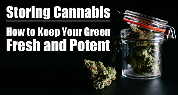 Storing Cannabis: How to Keep Your Green Fresh and Potent