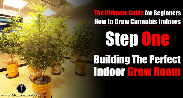 Step One: How to Build the Perfect Indoor Grow Room (For up to 6 Plants)