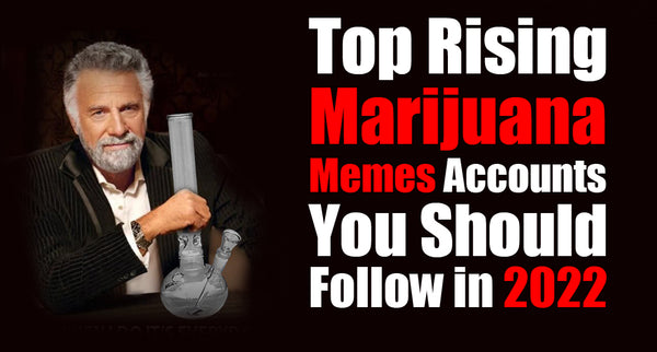 Top Rising Marijuana Memes Accounts You Should Follow in 2023
