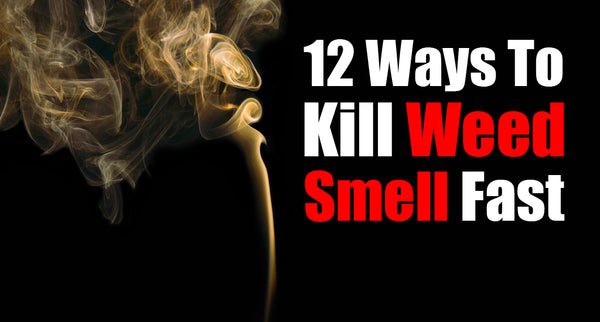 12 Ways To Kill Weed Smell Fast