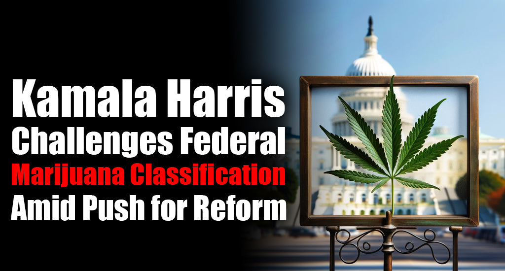 kamala-harris-challenges-federal-marijuana-classification-amid-push-for-reform