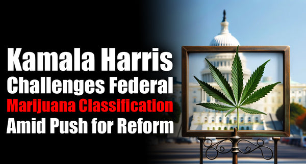 Kamala Harris Challenges Federal Marijuana Classification Amid Push for Reform