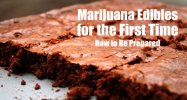 Edibles 101: A Comprehensive Guide for First-Timers and Seasoned Consumers