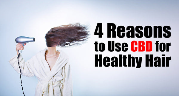 Advantages of Using CBD Shampoos and Conditioners