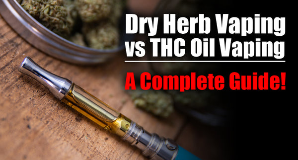 Dry Herb Vaping vs THC Oil Vaping, a Complete Guide!