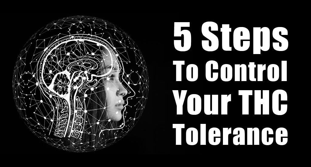 5-steps-to-control-your-thc-tolerance
