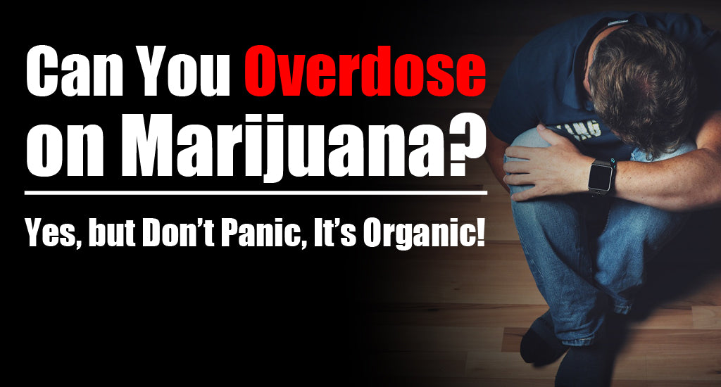 Can You Overdose on Marijuana Yes, but It's More Likely with Edibles