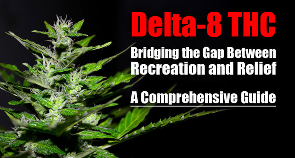 Delta-8 THC: Bridging the Gap Between Recreation and Relief - A Comprehensive Guide