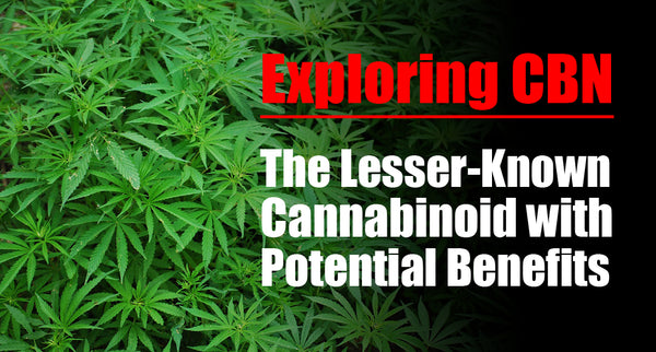 Exploring CBN: The Lesser-Known Cannabinoid with Potential Benefits