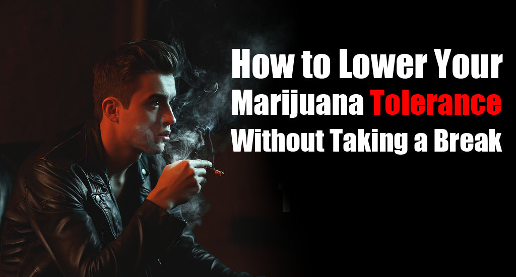 How to Lower Your Marijuana Tolerance Without Taking a Break