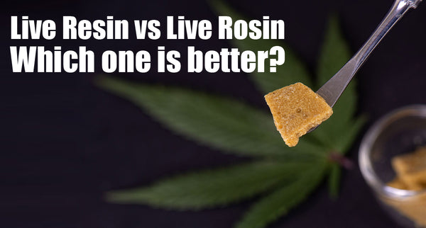 Live Resin vs Live Rosin – Which one is better?