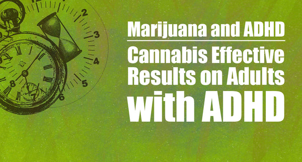 Marijuana and ADHD: Cannabis Effective Results on Adults with ADHD