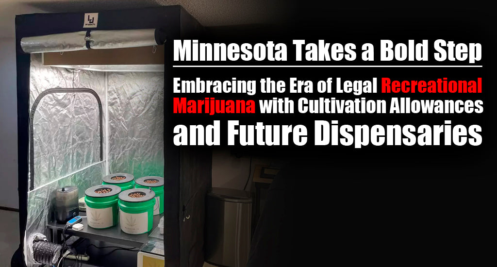 Minnesota Takes a Bold Step Embracing the Era of Legal Recreational Marijuana with Cultivation Allowances and Future Dispensaries