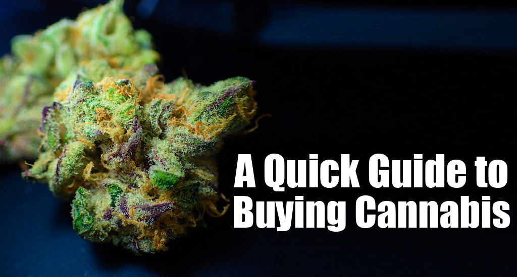 a-quick-guide-to-buying-cannabis