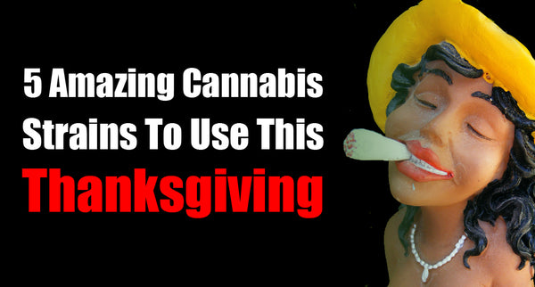5 Amazing Cannabis Strains To Use This Thanksgiving