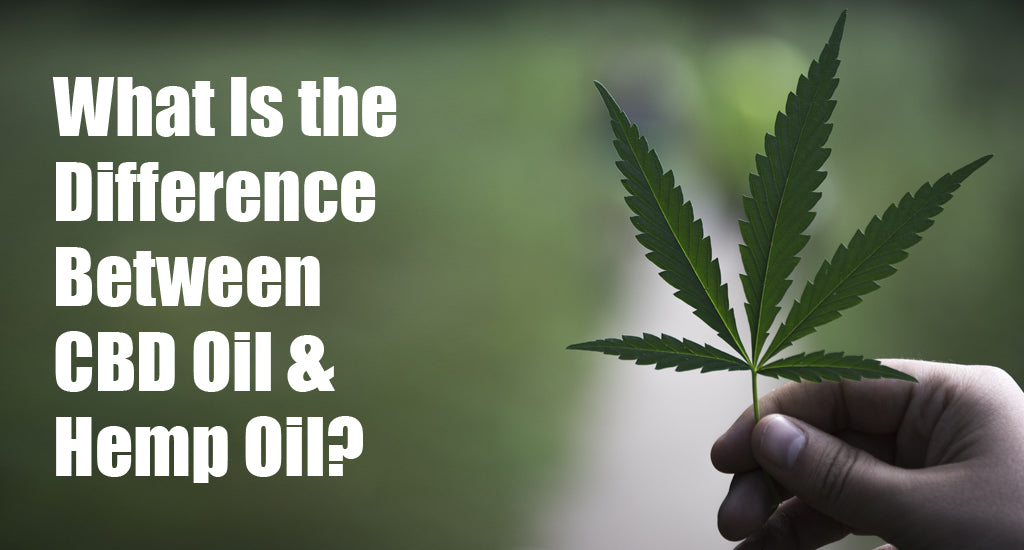 between-cbd-oil-and-hemp-oil