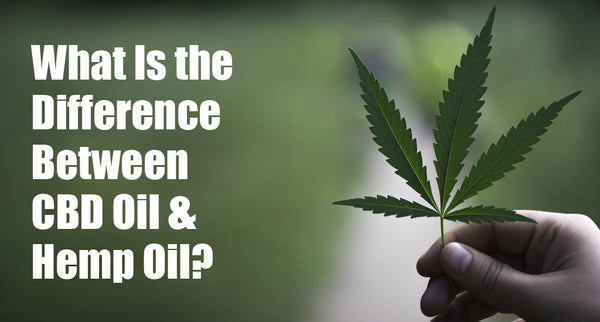 What is the difference between CBD oil and hemp oil?