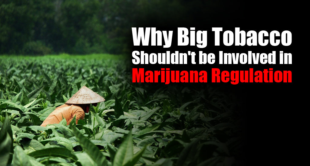 big tobacco and marijuna industry