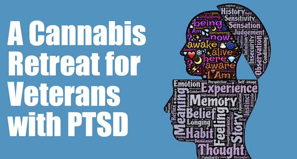 cannabis-retreat-for-veterans-with-ptsd