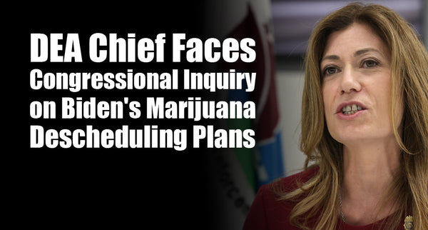 DEA Chief Faces Congressional Inquiry on Biden's Marijuana Descheduling Plans