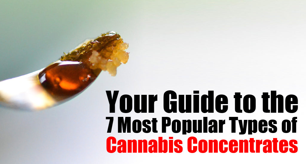 different-cannabis-concentrates-guide