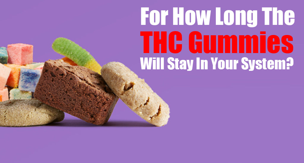 for-how-long-the-thc-gummies-will-stay-in-your-system
