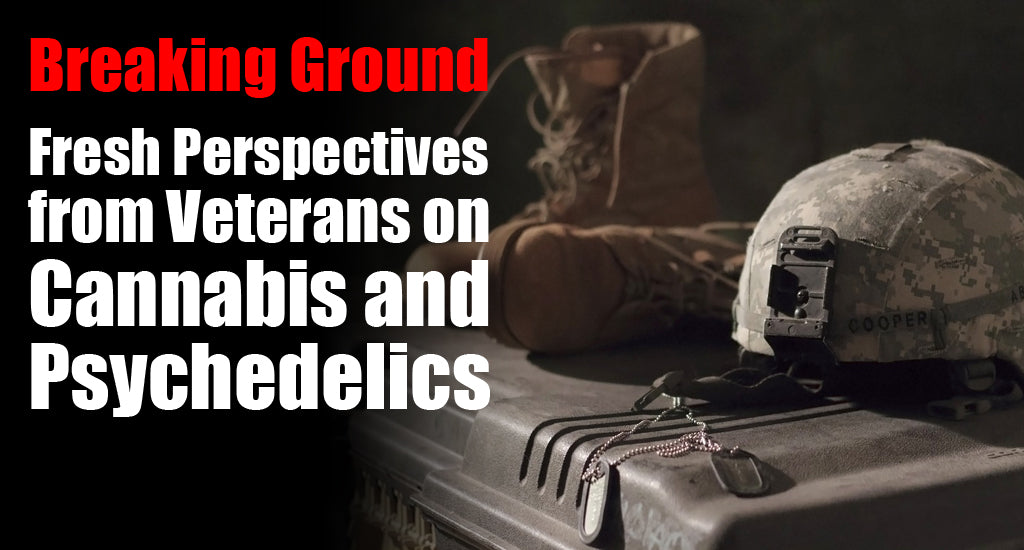fresh-perspectives-from-veterans-on-cannabis-and-psychedelics