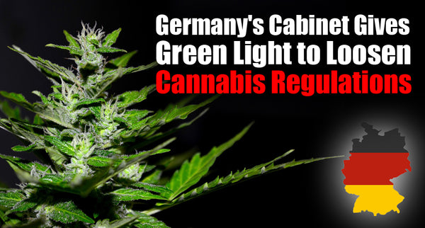 Germany's Cabinet Gives Green Light to Loosen Cannabis Regulations