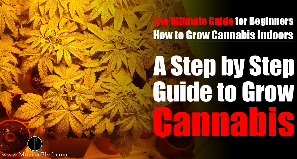 grow-weed-guide-beginners-grow-marijuana-beginners-guide-step-step-guide-grow-cannabis-indoors-how-to-grow-weed-indoors-step-by-step