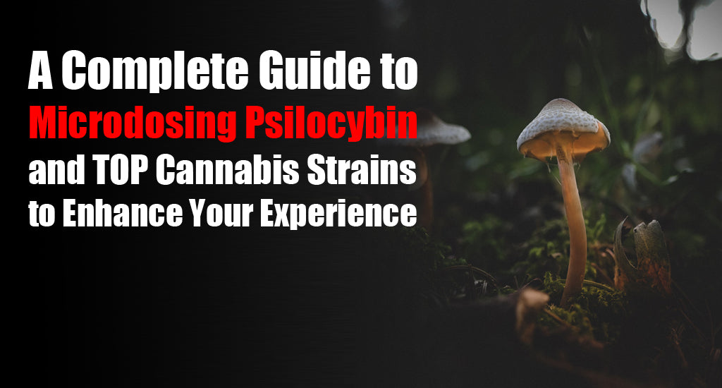 guide-to-microdosing-psilocybin-magic-mushrooms-with-cannabis