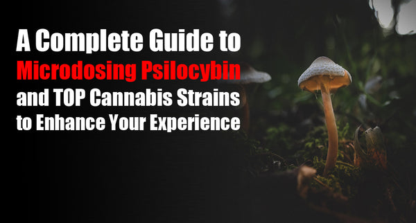 A Complete Guide to Microdosing Psilocybin, and TOP Cannabis Strains to Enhance Your Experience