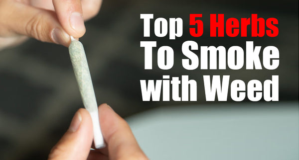 Elevate Your Experience: Top 5 Dry Herbs to Mix with Weed