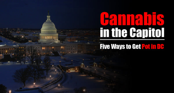 Cannabis in the Capitol - Five ways to get pot in DC