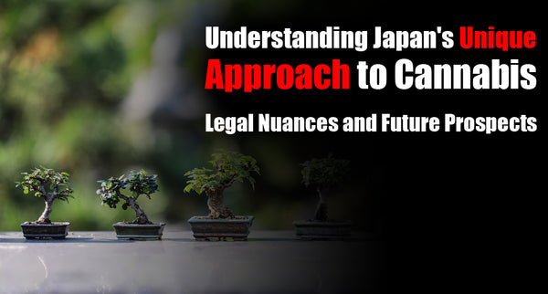 Understanding Japan's Unique Approach to Cannabis: Legal Nuances and Future Prospects