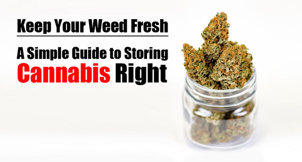 Keep Your Weed Fresh: A Simple Guide to Storing Cannabis Right