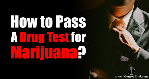 How can you pass a drug test for THC and marijuana? And Pro tips To Use Quick Fix.