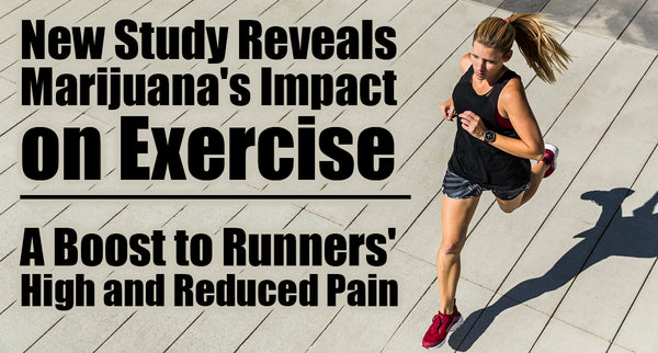 New Study Reveals Marijuana's Impact on Exercise: A Boost to Runners' High and Reduced Pain