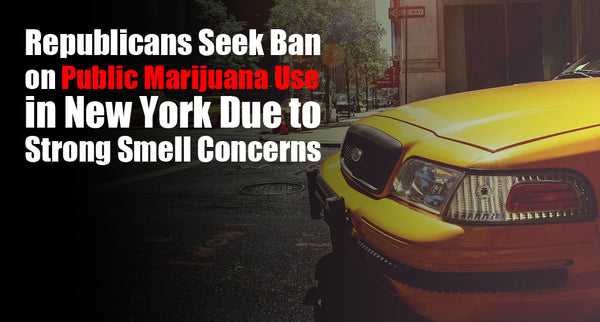 Republicans Seek Ban on Public Marijuana Use in New York Due to Strong Smell Concerns