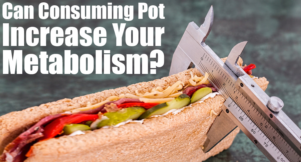 smoking-cannabis-and-metabolism