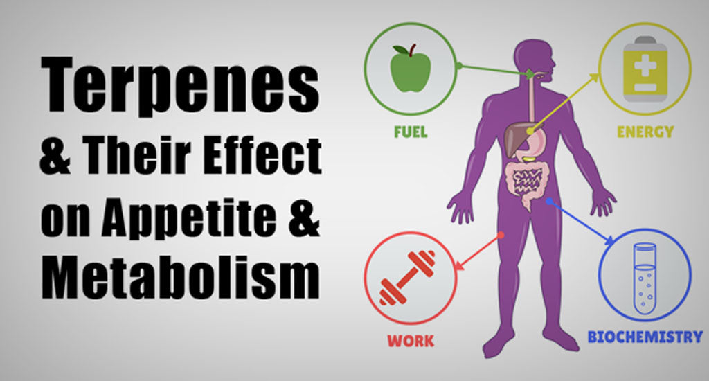 terpenes-effect-on-appetite-and-metabolism