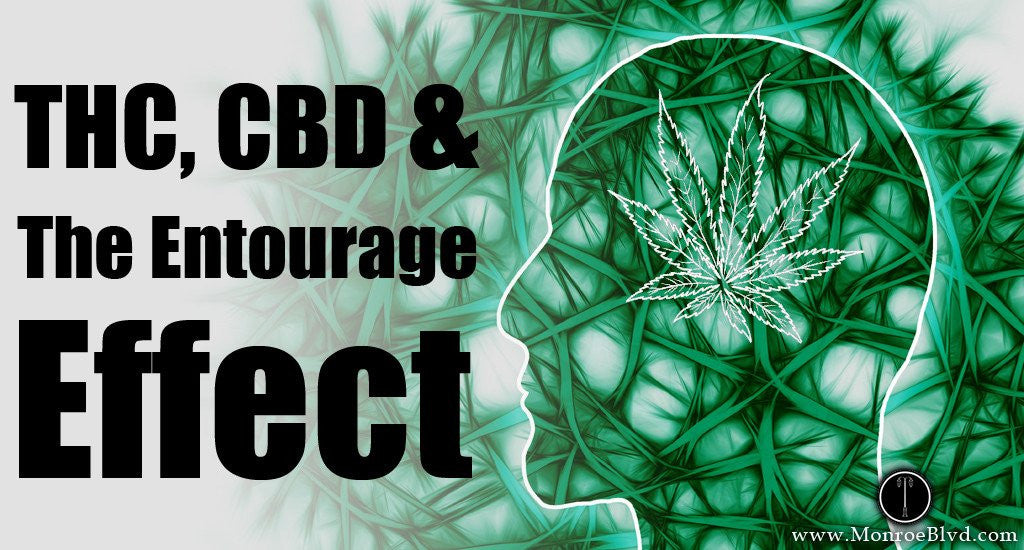Marijuana Effects: THC and CBD, and the Entourage Effect!